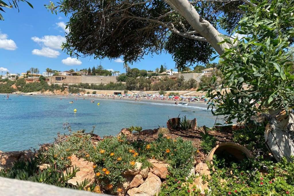 Luxury Penthouse Oasis Beach VIII Orihuela Costa Punta Prima Torrevieja Esterno foto